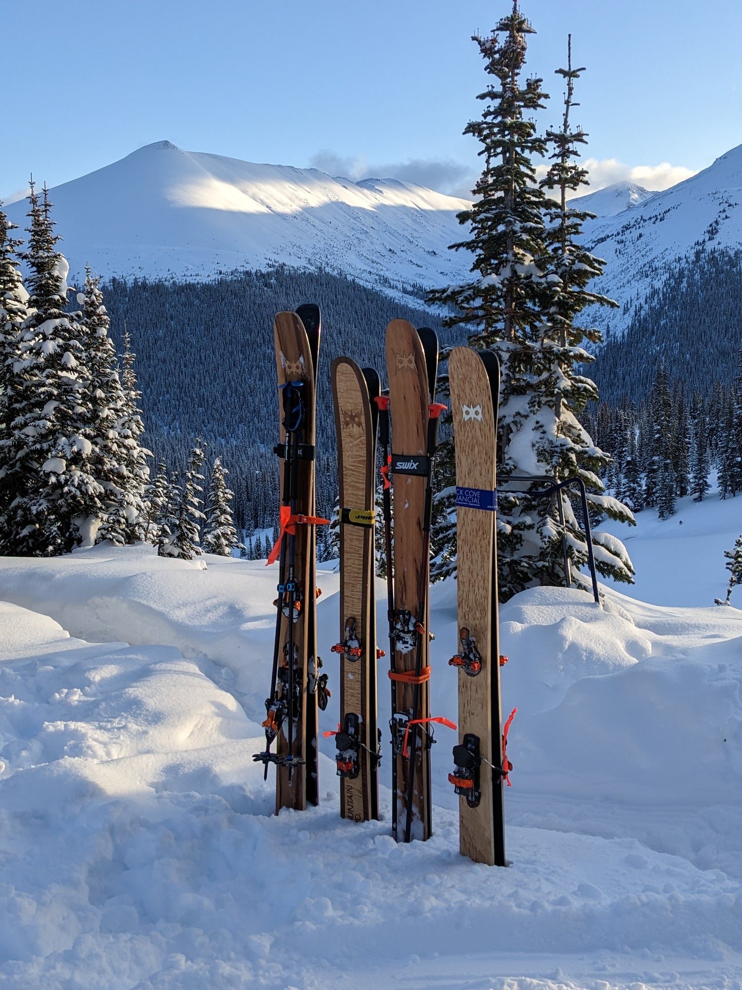 Custom Skis